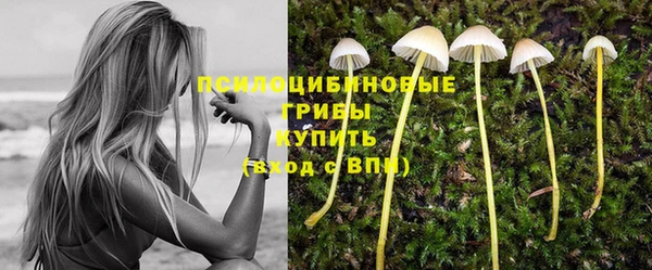 марки lsd Алзамай