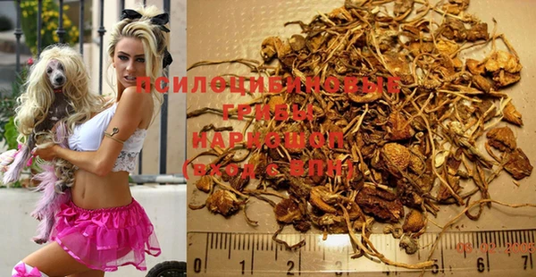 марки nbome Алексеевка