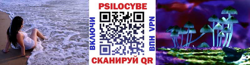 купить наркотик Жуковский Псилоцибиновые грибы ЛСД