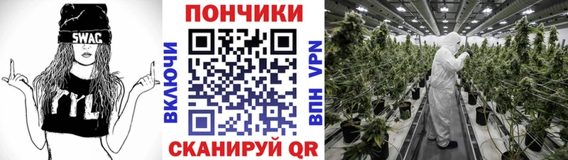 Конопля план  Жуковский 